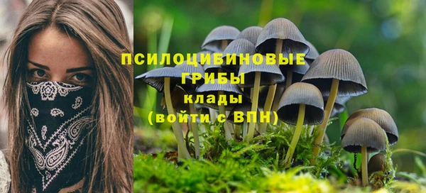 синтетический гашиш Заводоуковск